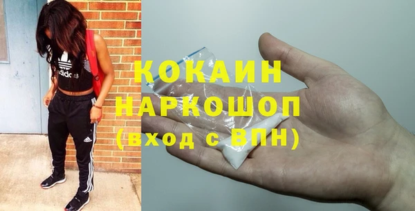 стаф Сосновоборск