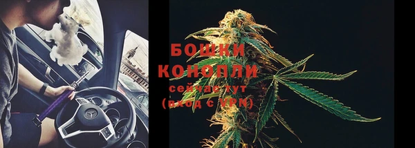 spice Сосновый Бор